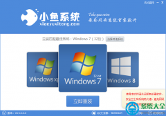 小鱼一键重装系统下载|小鱼一键重装系统工具v2.7绿色版