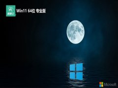 ʿwin1164λرרðv2025.12